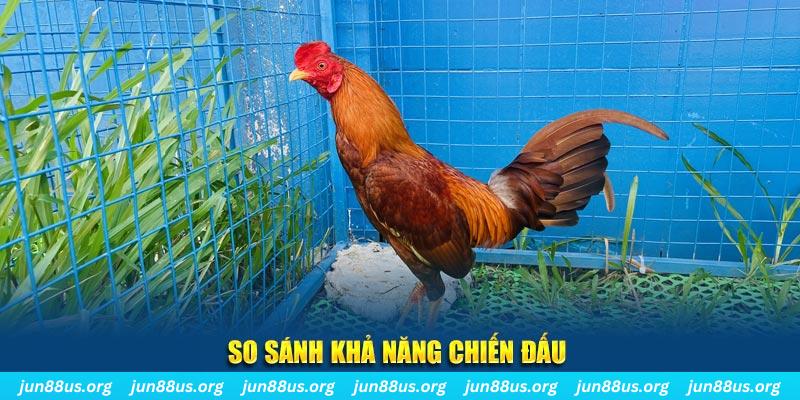 mcw858 xổ số tiền giang