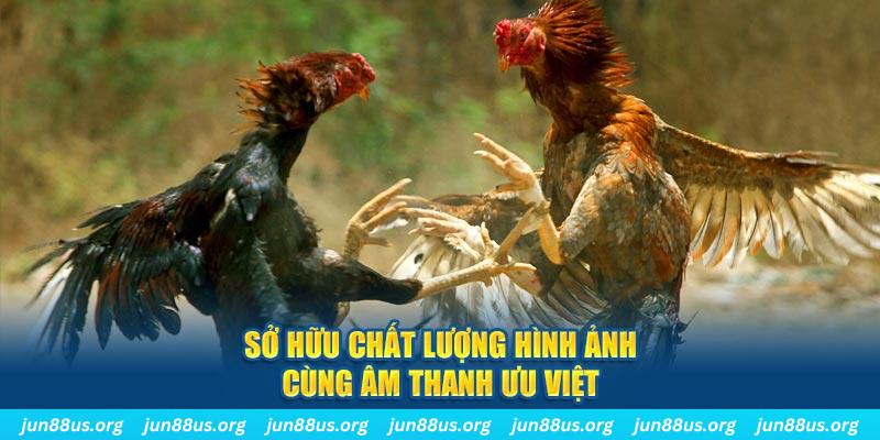 tai game danh bai ve may tinh