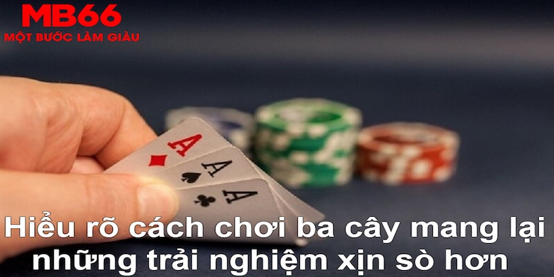 mcw858 ÁT CHỦ BÀI GIÀNH LẤY ZHUANG NIUNIU ( XEM 3 LÁ )