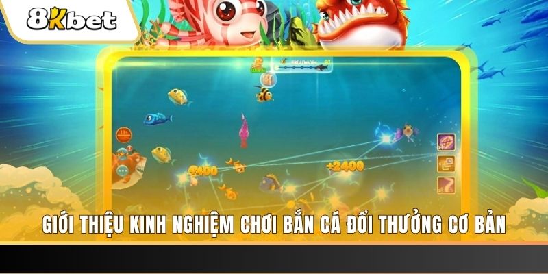 mcw858 8 bí ẩn chơi nổ hũ ít ai biết