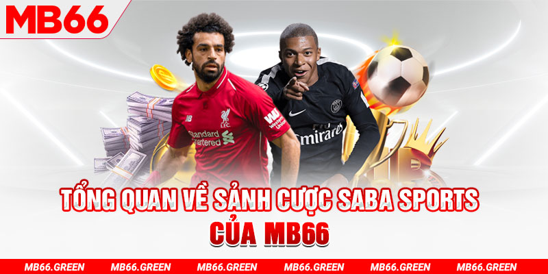mcw858 slot có nghĩa là gì