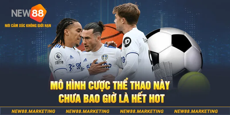 mcw858 gà chọi c1 thomo